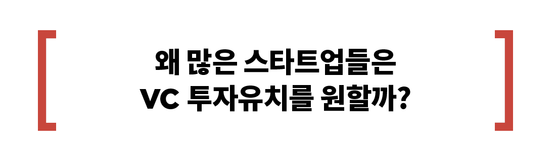 벤처 투자