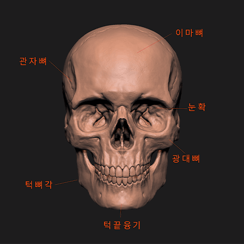 콜로소 3D 캐릭터 얼굴 모델링 클래스 구성
