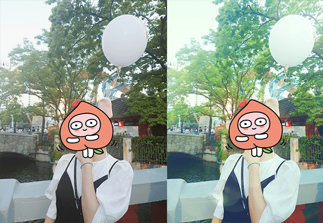 콜로소 크리에이티브 후기