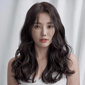 콜로소 헤어 클래스 구성
