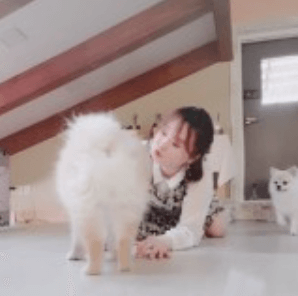 콜로소 베이킹 쿠킹 후기