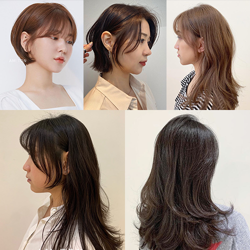 쿠키 헤어 이미지