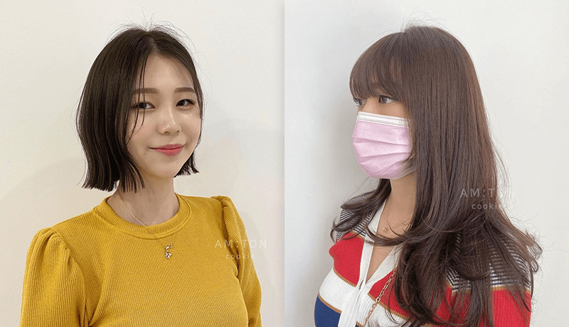 콜로소 쿠키 강의 소개