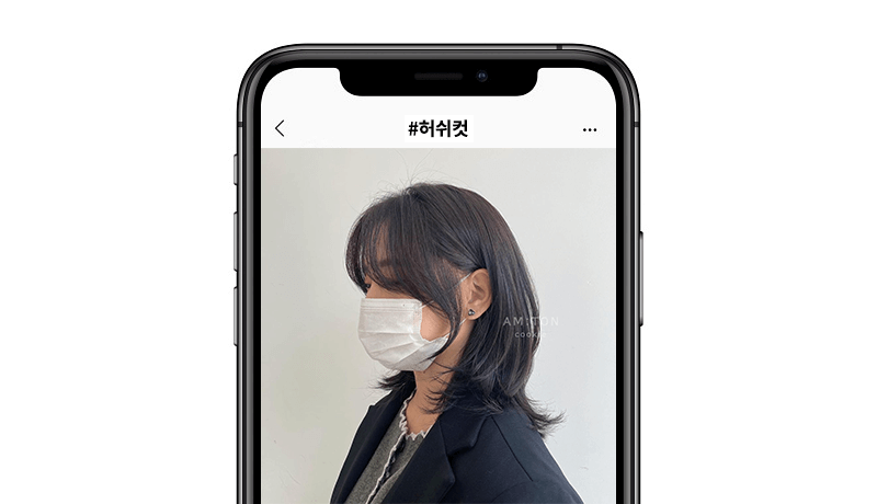 콜로소 쿠키 강의 소개