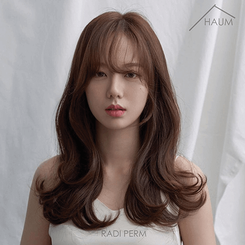 콴 하능 기우 헤어 포트폴리오