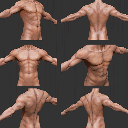 콜로소 3D 캐릭터 전신 모델링 클래스 구성
