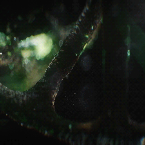 Coloso Gryun Kim  Realistic Texturing with Cinema4D & Octane