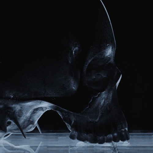 Coloso Gryun Kim  Realistic Texturing with Cinema4D & Octane
