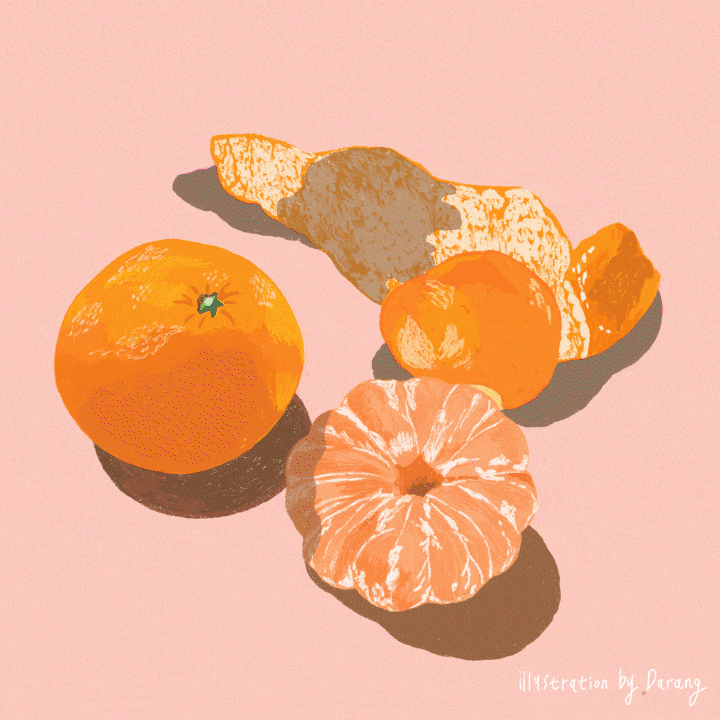 콜로소 일러스트 클래스 구성