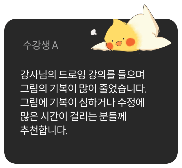 콜로소 일러스트 후기