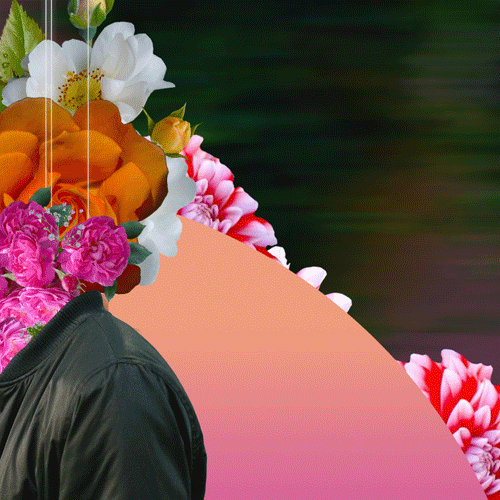 Graphic Artist Nakta