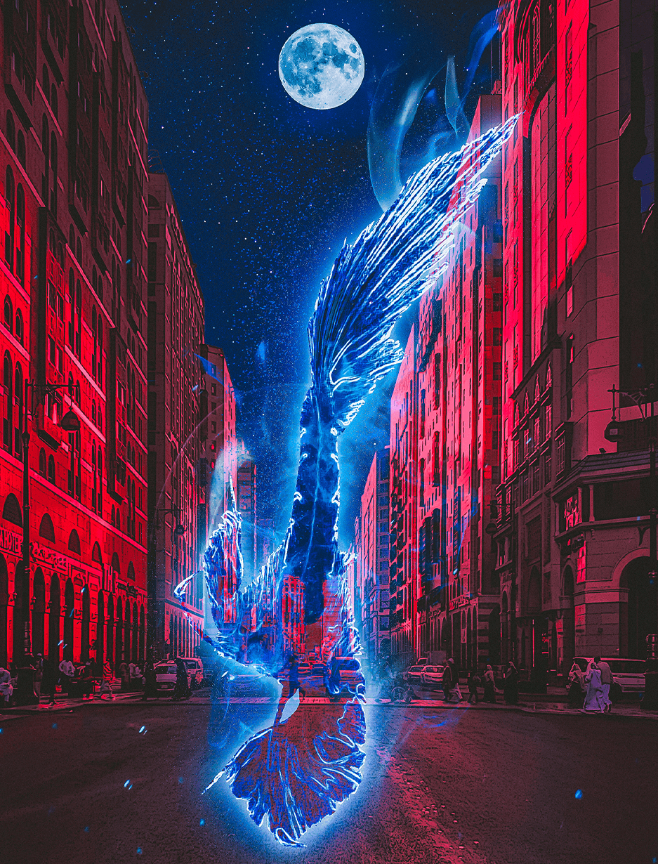 Graphic Artist Nakta