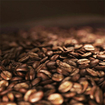 ImageSlide<b>Fast / Slow / Reverse</b>