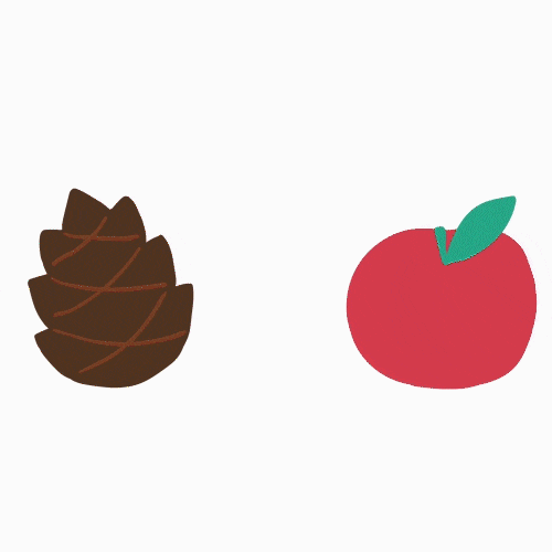 Seoro Oh Class exercises