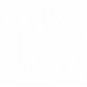콜로소 실무 집중 완성반 강의 예제
