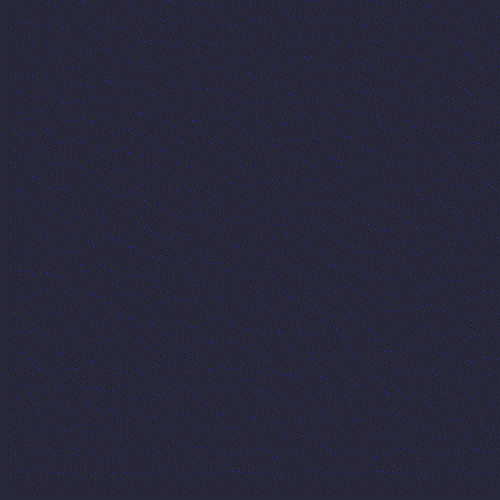 Coloso Motion designer, Sujin Yang