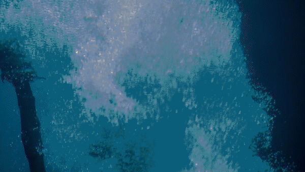 ImageSlide<b>핵심 요소 '수중 촬영'</b>