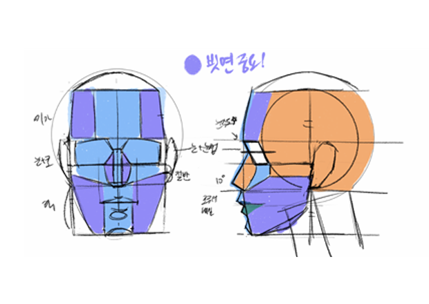 콜로소 일러스트 후기