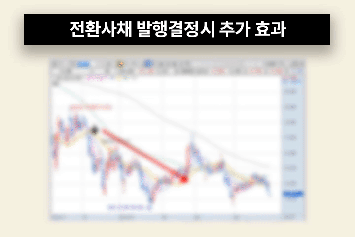 콜로소 창업 재테크 이미지