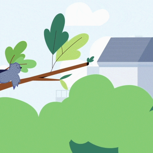 Coloso Motion designer, Sujin Yang