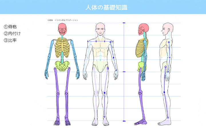 Coloso マノ 講座のポイント