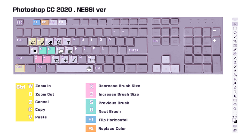 Coloso NESSI 講座のポイント