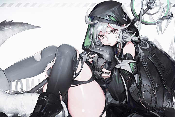 Coloso チャン ポートフォリ