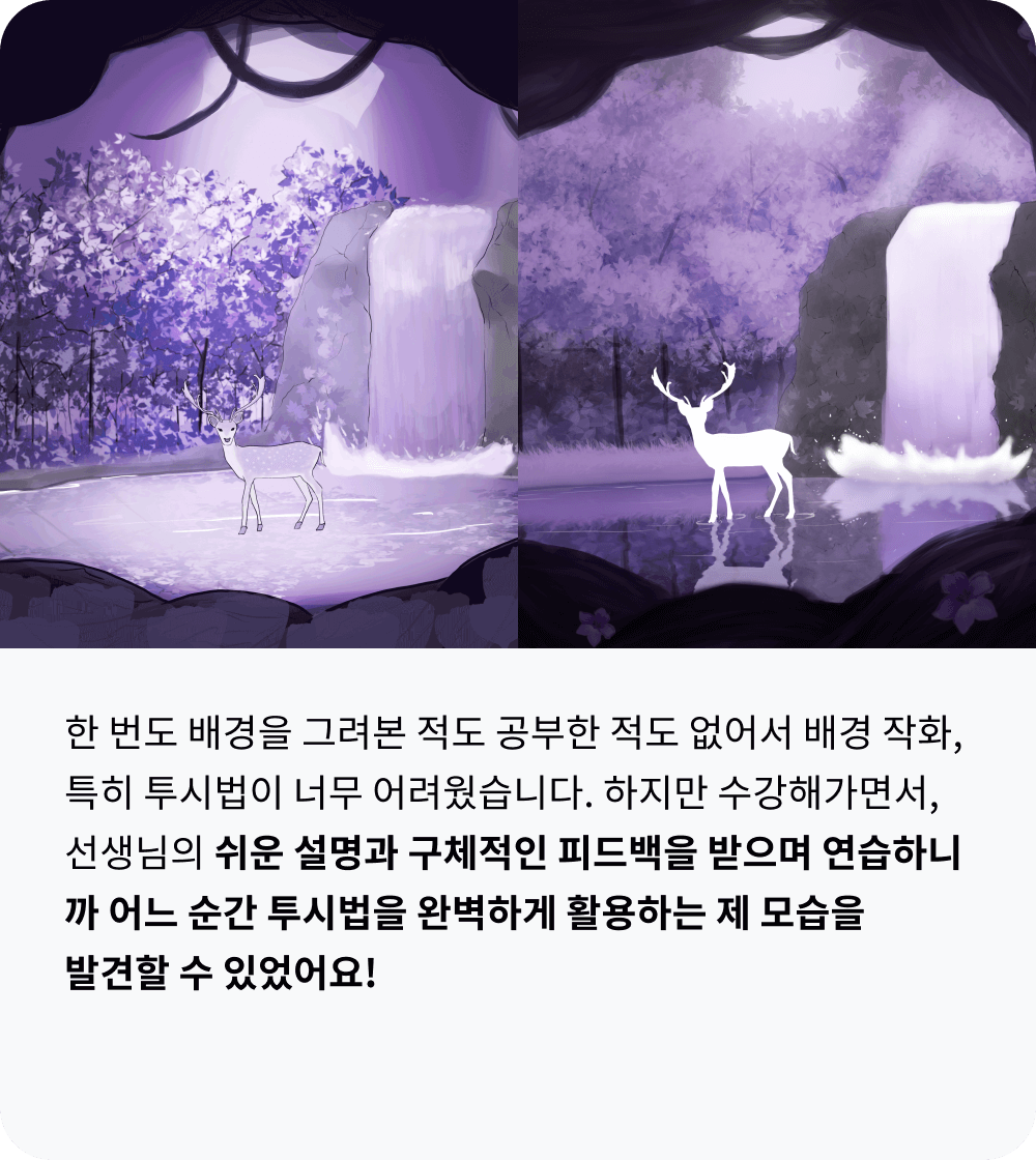 콜로소 일러스트 후기