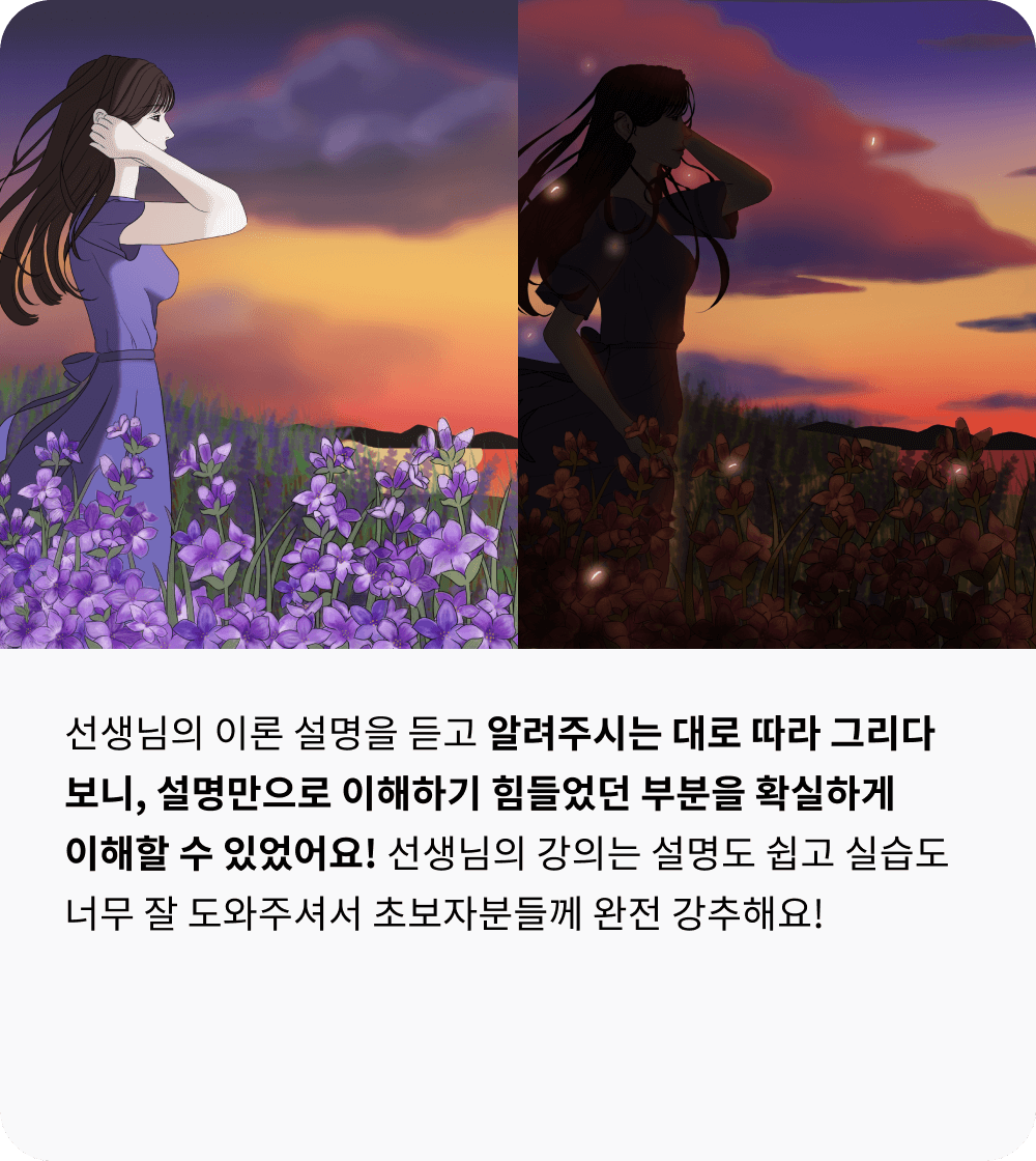 콜로소 일러스트 후기