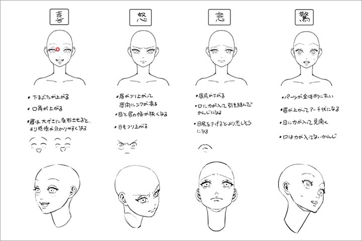 Coloso イラスト 講座内容