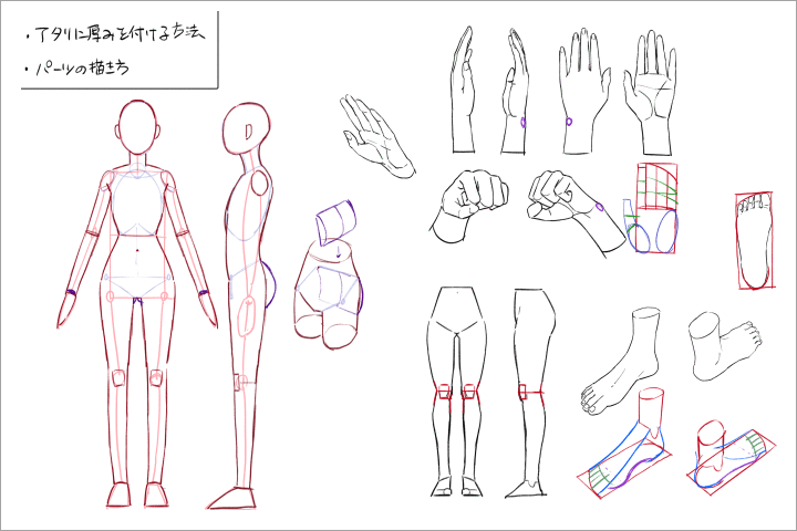 Coloso イラスト 講座内容