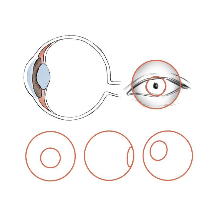 ImageSlide