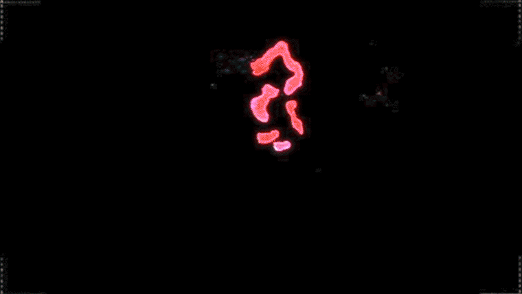 Coloso 畳谷哲也 