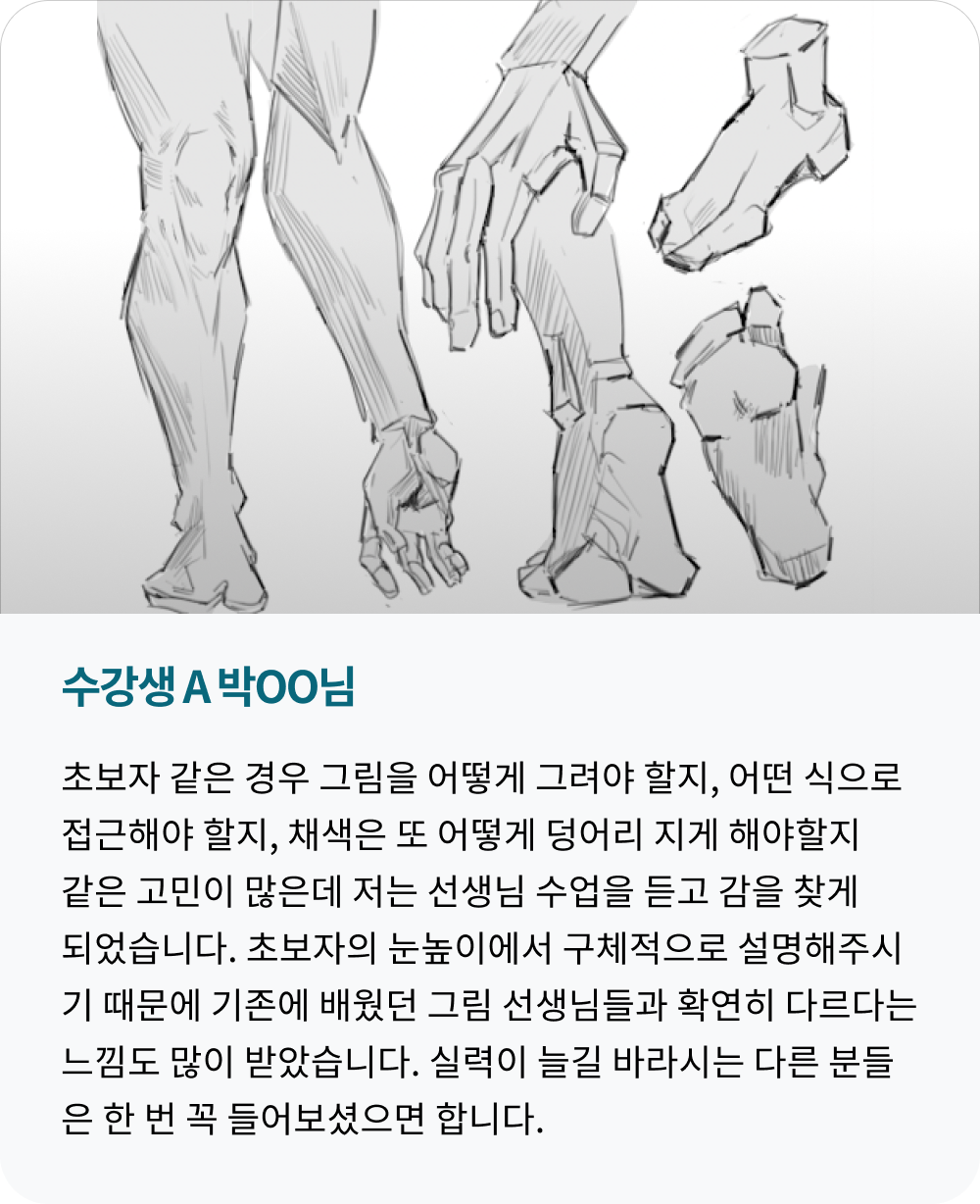 콜로소 일러스트 후기