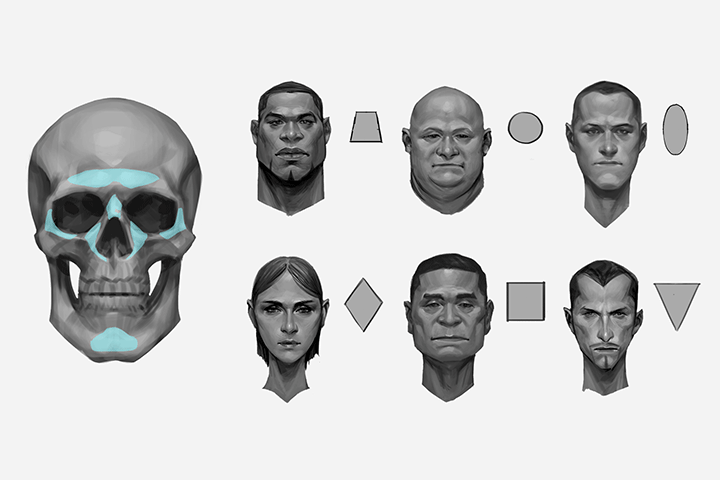 Coloso Illustration Class Details