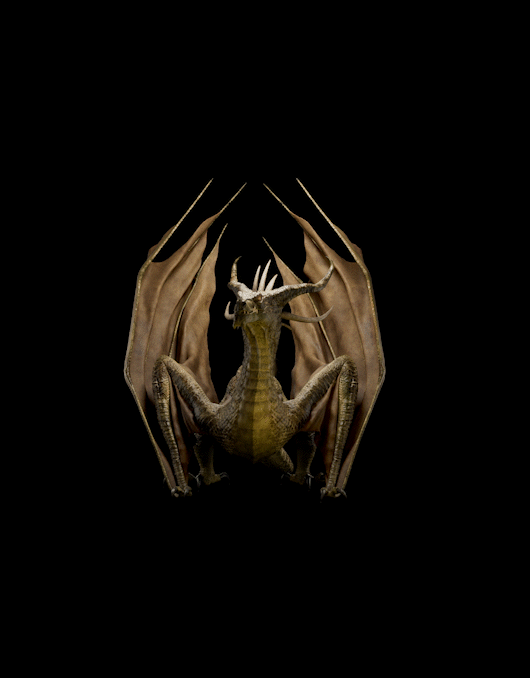 ImageSlide<div style="text-align: center; color:#D3AB7B;"><b>Practice 2. Dragon</b></div>