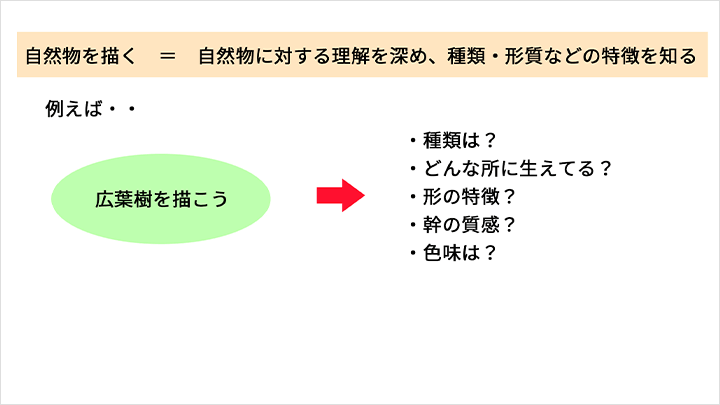 Coloso イラスト 講座内容