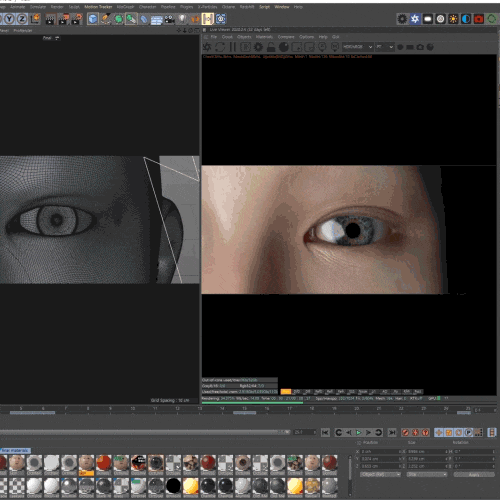 Coloso Media Design Class Details