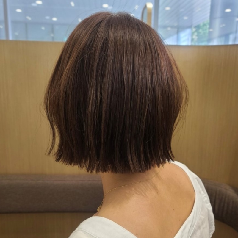 콜로소 헤어 후기