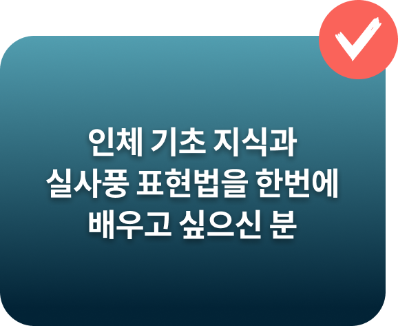 콜로소 일러스트 이미지
