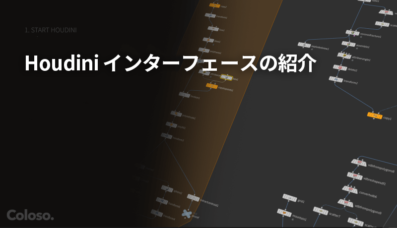 Coloso チャン・インテ 講座のポイント