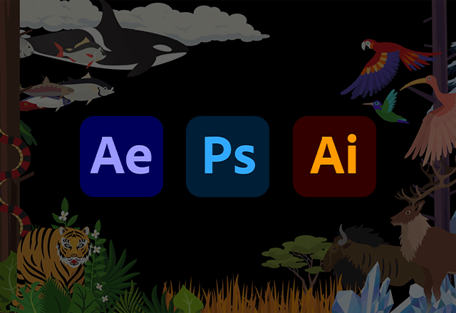 After Effects Photoshop illustrator