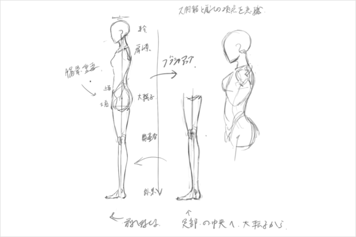 Coloso イラスト 講座内容