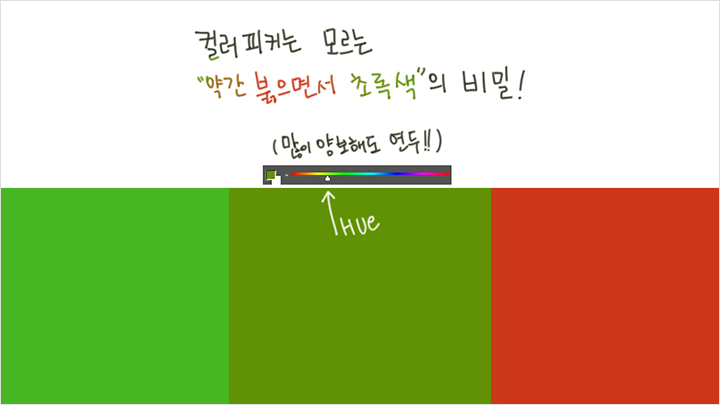 콜로소 커리큘럼