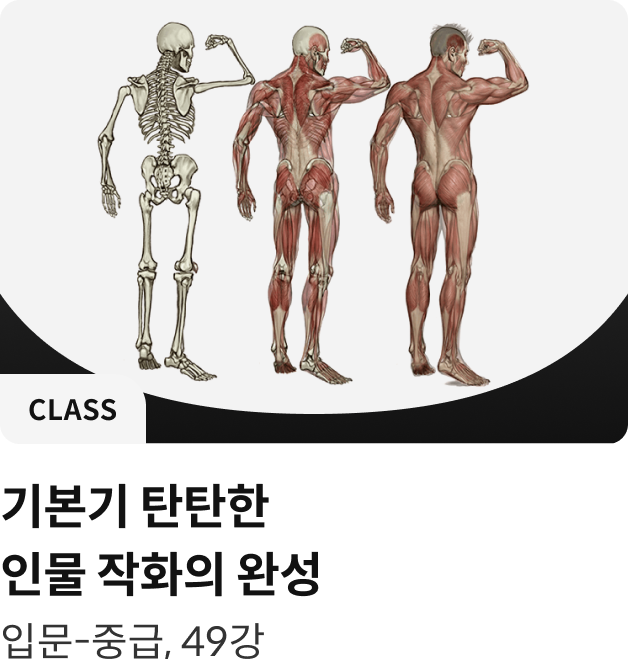 콜로소 일러스트 클래스