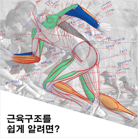 최상민 일러스트 강의 예제