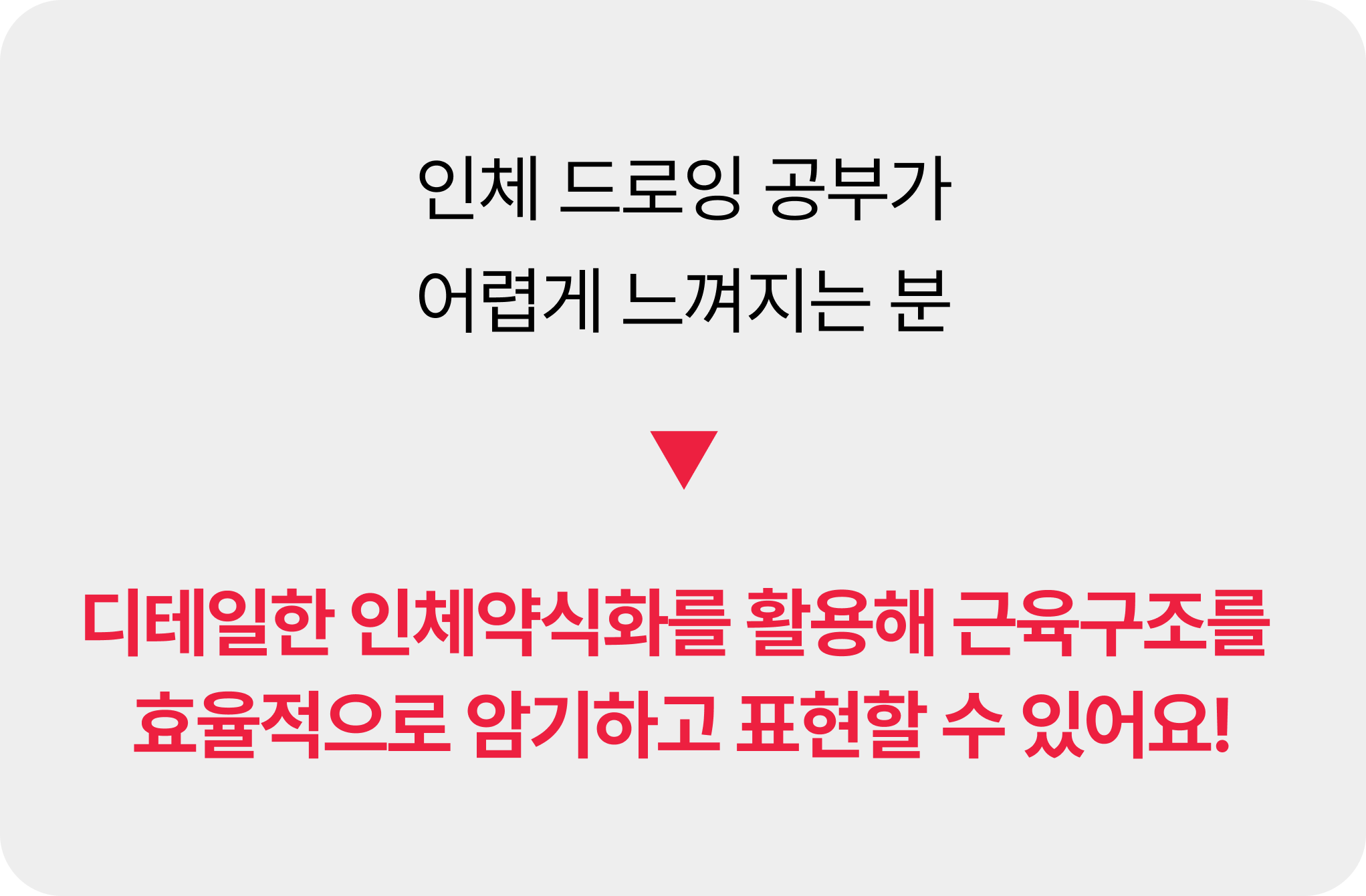 콜로소 일러스트 후기