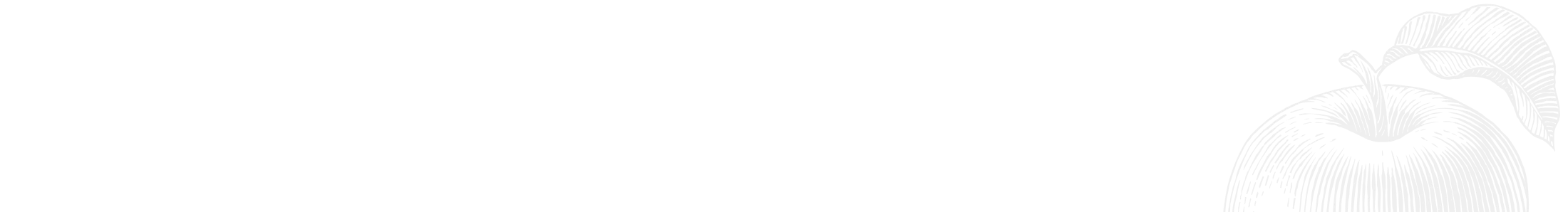 가격전략 데이터