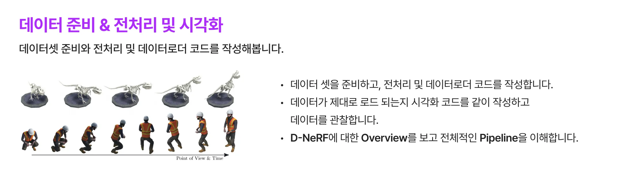 NERF 이론