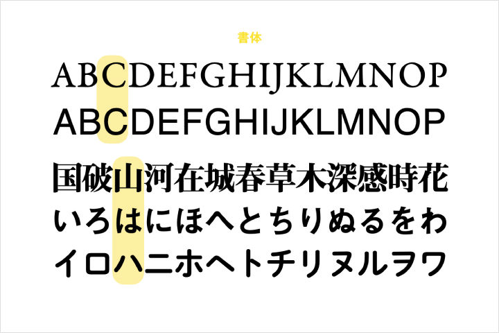 Coloso 視覚デザイン 講座内容